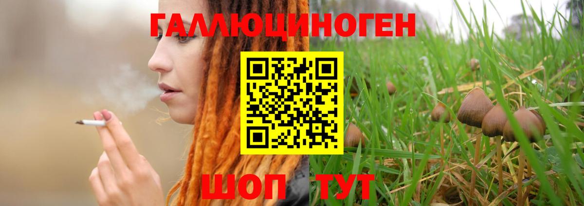 Псилоцибиновые грибы Cubensis  Вход с VPN  Ликино-Дулёво  Псилоцибиновые грибы мицелий 